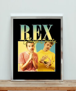 Rex Orange County 90s Aesthetic Wall Poster