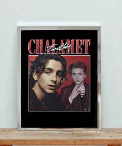 Timothe Chalamet Aesthetic Wall Poster